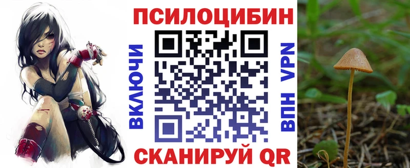 Псилоцибиновые грибы Magic Shrooms  MEGA ONION  Курск 