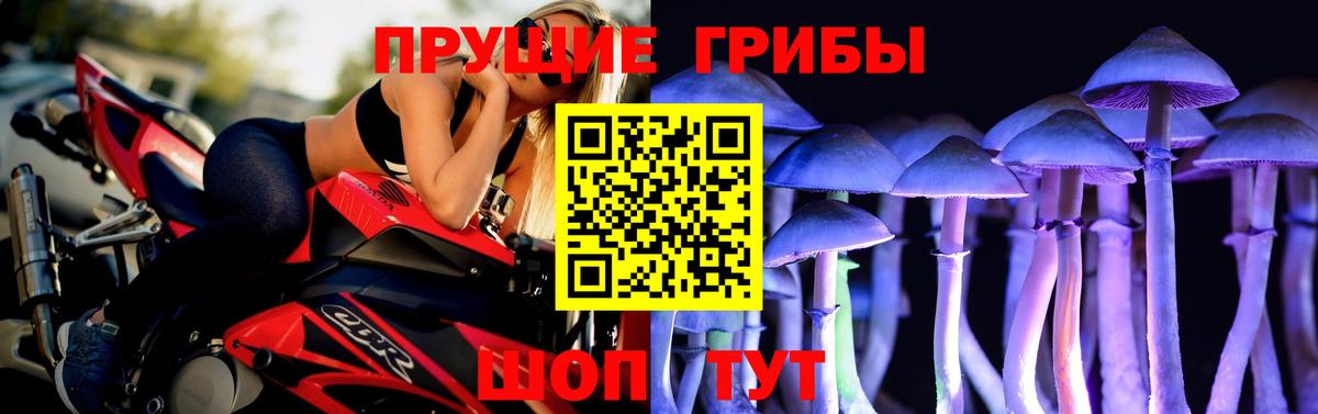 Псилоцибиновые грибы Magic Shrooms Курск